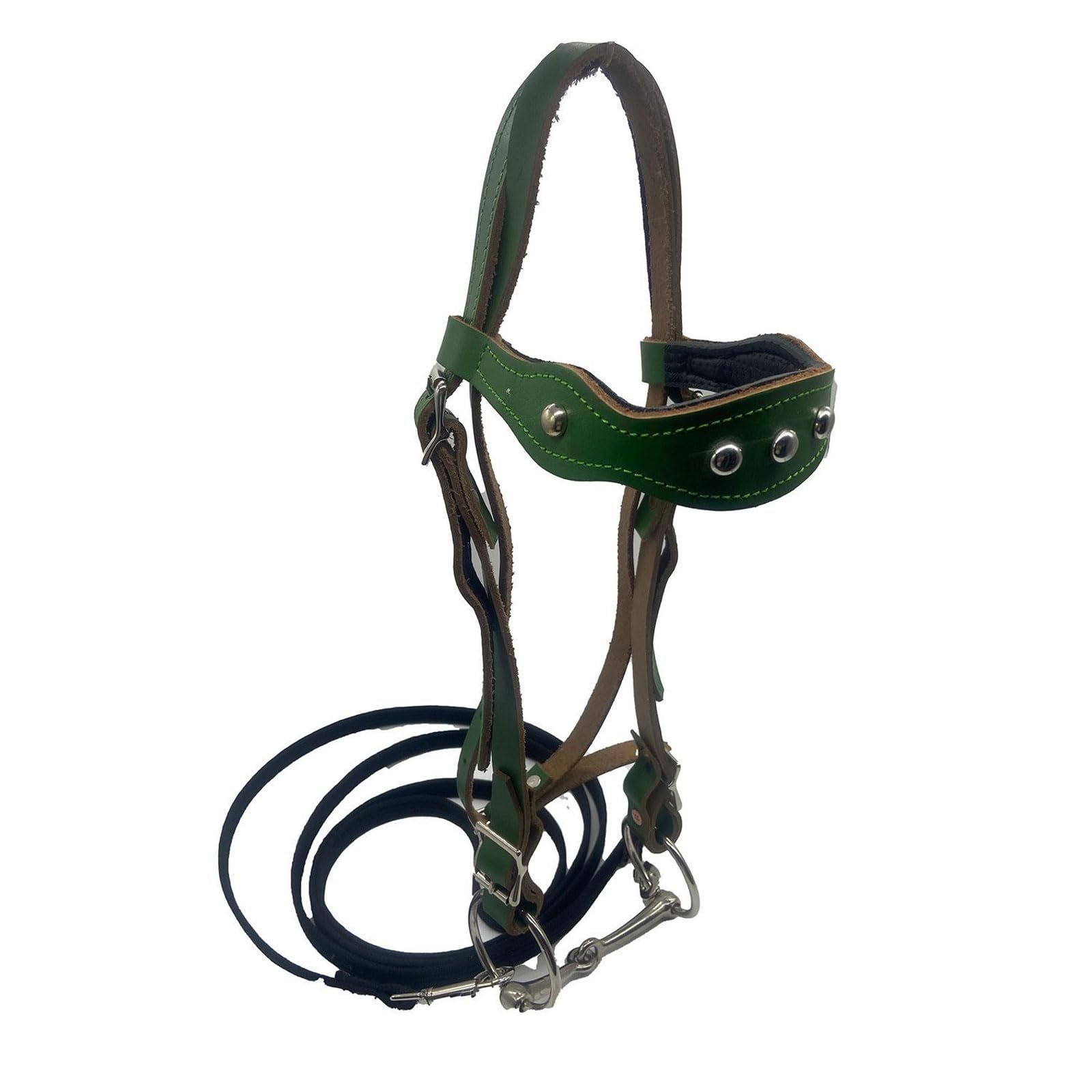 Cabeza de jaula de nylon pesada ajustable, Brida anatómica for caballos Hobby, casco acolchado cómodo, brida de exhibición, doma de salto, verde