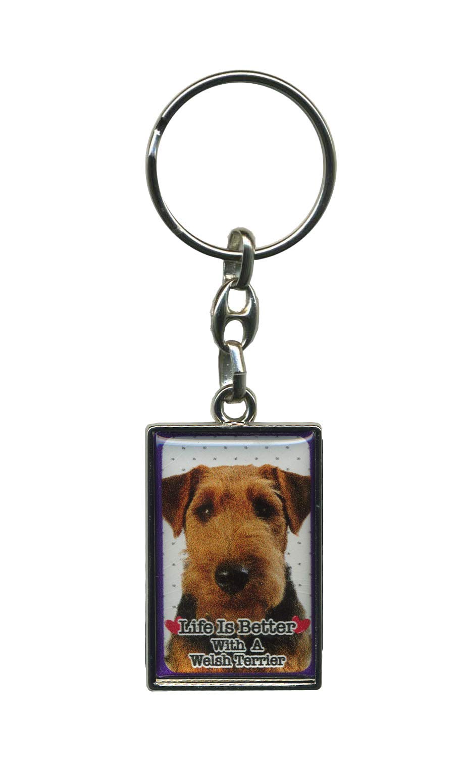 Metal Keyring - Life Is Better With A Dog (Welsh Terrier)