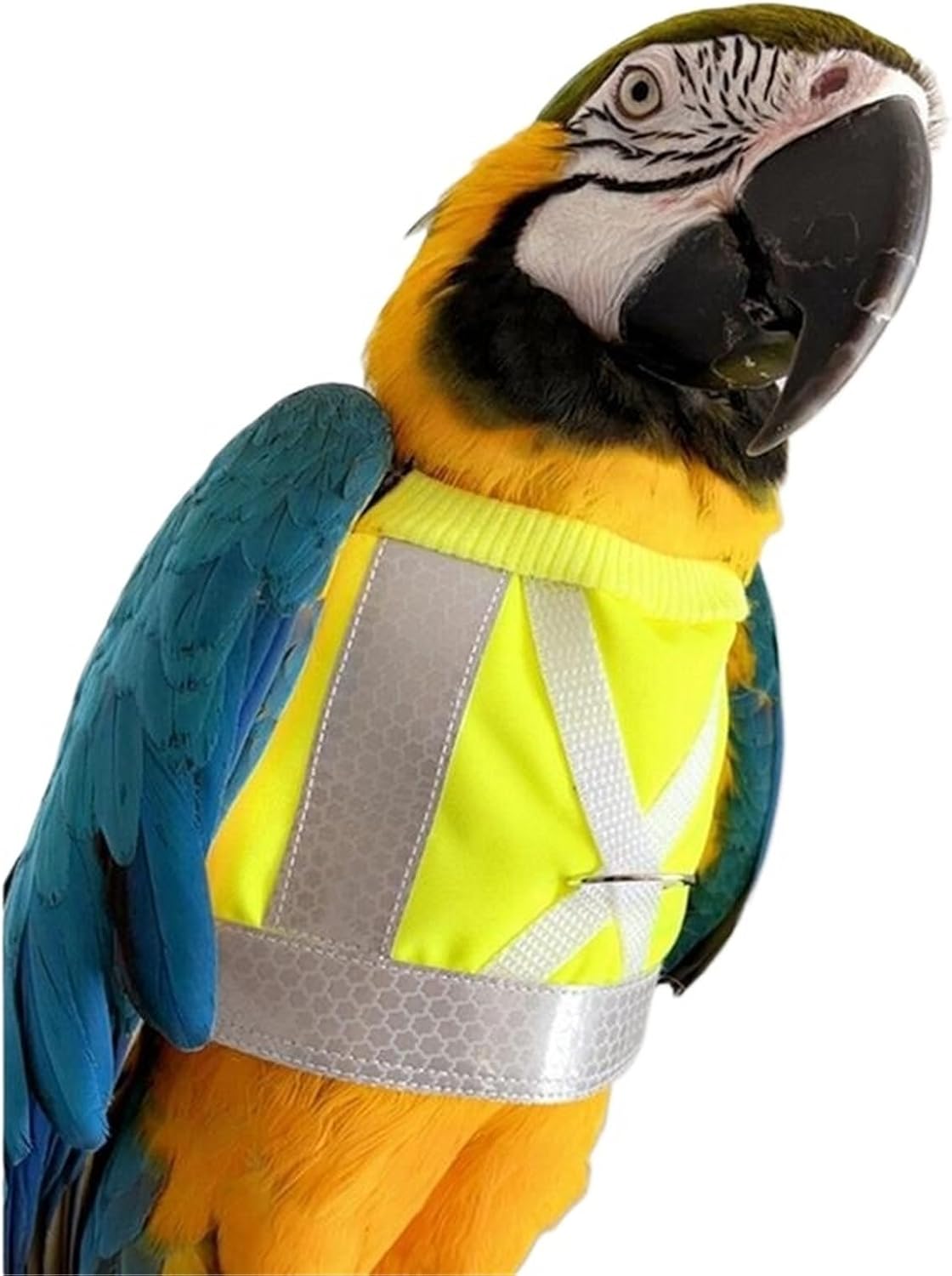 Bird Leash 4 Sets Parrot Adjustable Flying Harness Safety Reflective Leashes Sun Protection Flight Training Rope Pet Bird for Restrain Birds During Outdoor Activities/Play(Medium)