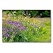 Produktbild CALVENDO Premium Textil-Leinwand 90 x 60 cm Quer-Format Wildblumenwiese im Harz, Leinwanddruck von Thomas Polske