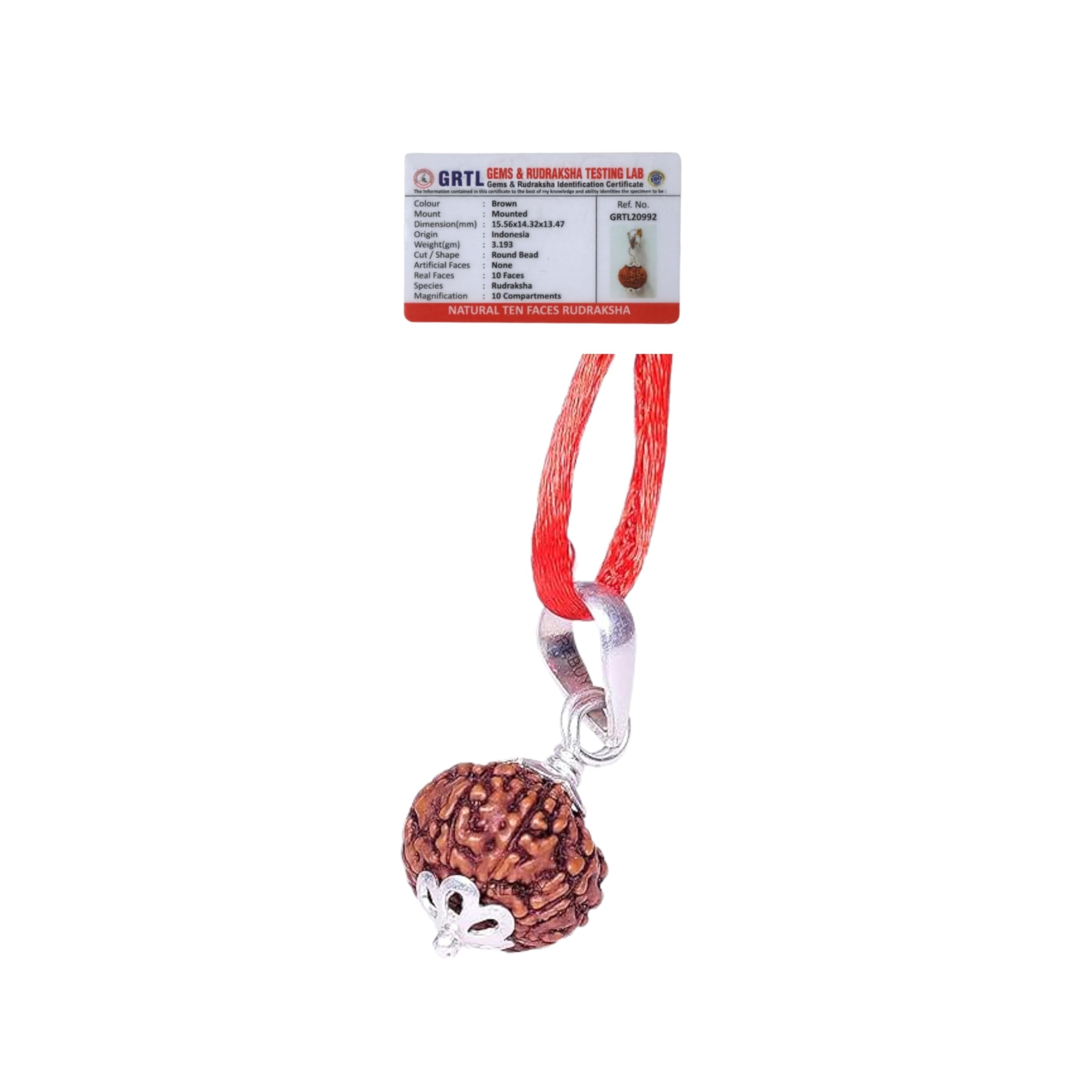 10 Mukhi Rudraksha Pendant, Indonesian/Java, Brown, 15-18 mm, Original, Lab Certified, for Men & Women