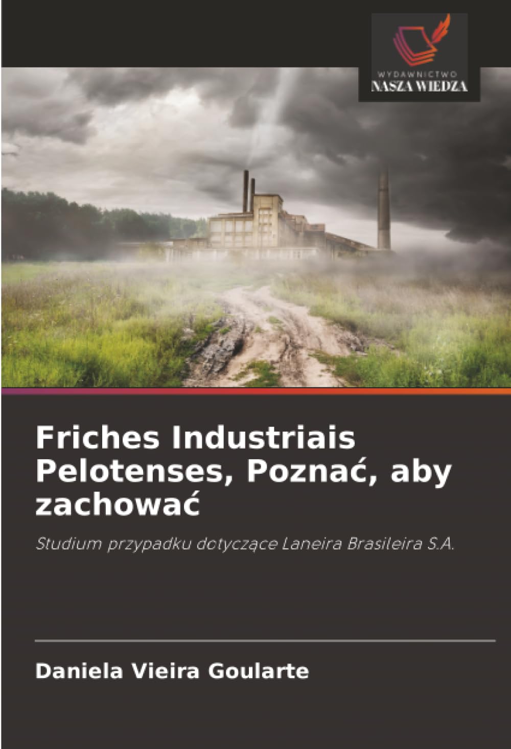 Friches Industriais Pelotenses, Poznać, aby zachować: Studium przypadku dotyczące Laneira Brasileira S.A.