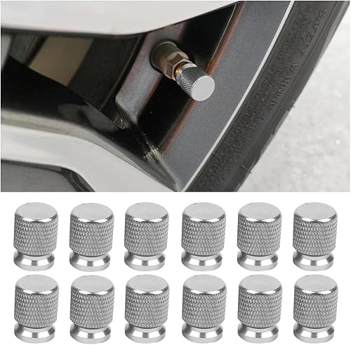 Bittwee 12 tapas de vástago de válvula de neumático, cubierta de válvula de aleación de aluminio para automóvil, exquisita malla resistente a la