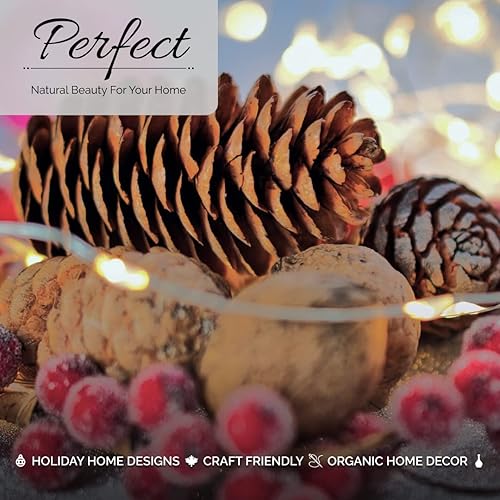 Miniatura 6 de Conos de pino extra grandes piñas gigantes para manualidades cono de pino grande para Navidad piña decorativa grande para adornos navideños