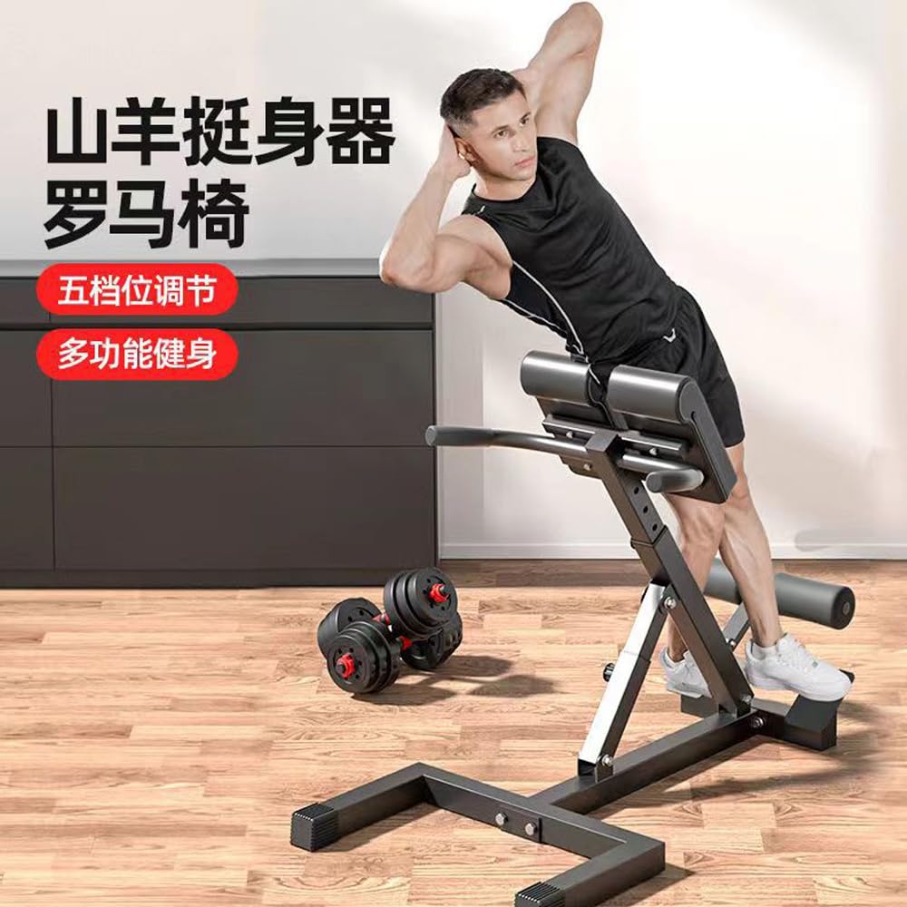 BailingDS Roman Chair Folding Waist And Hip Trainer,Roman Chair,Back Extension Machine,Glute Trainer,Back Workout Machine,Inversion Table,Workout