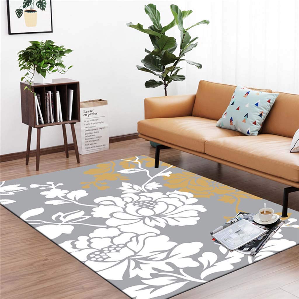 Tapis de salon grande taille avec impression 3D moderne en velours de cristal