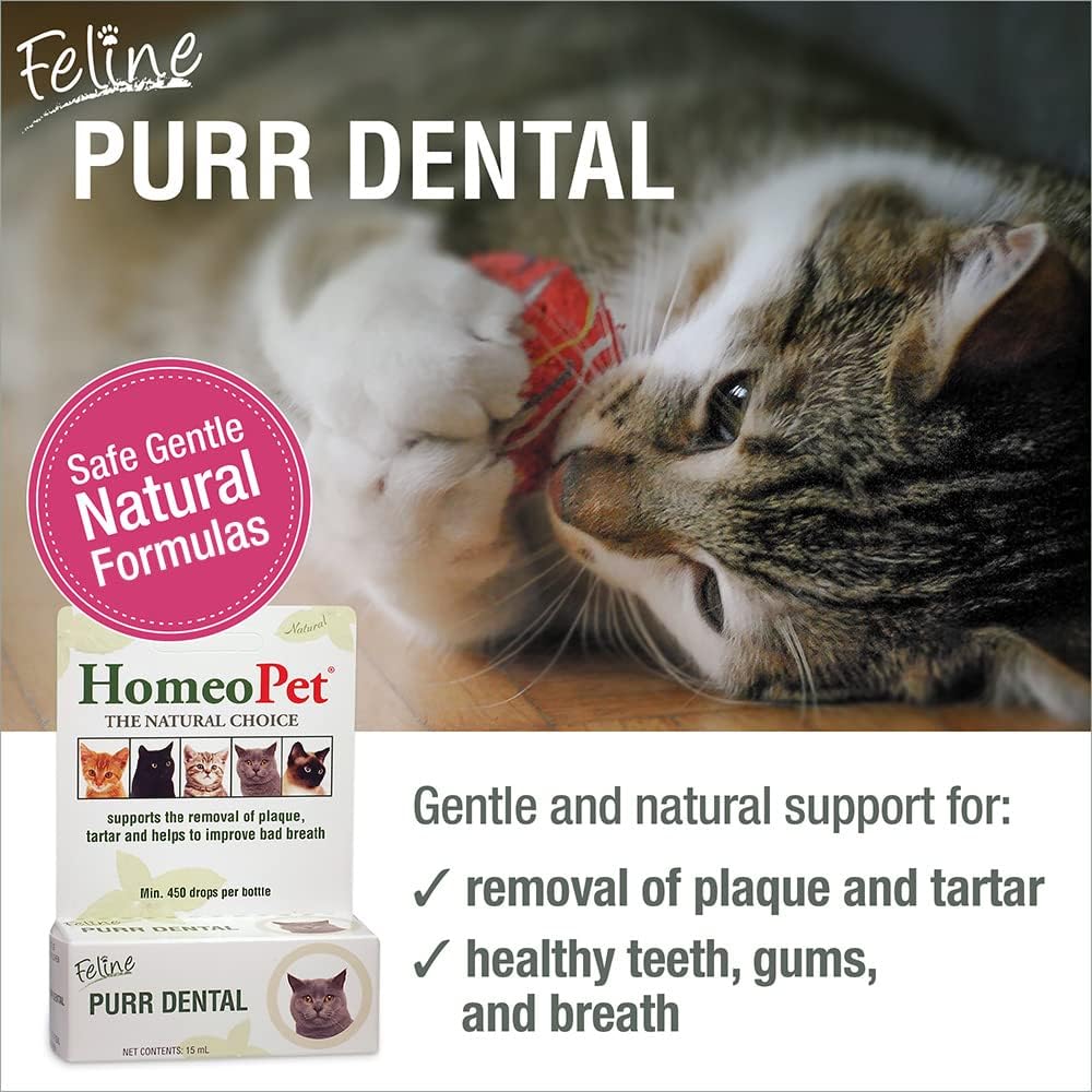 HomeoPet Feline Purr Dental, Dental Care for Cats, 15 Milliliters : Pet Supplies
