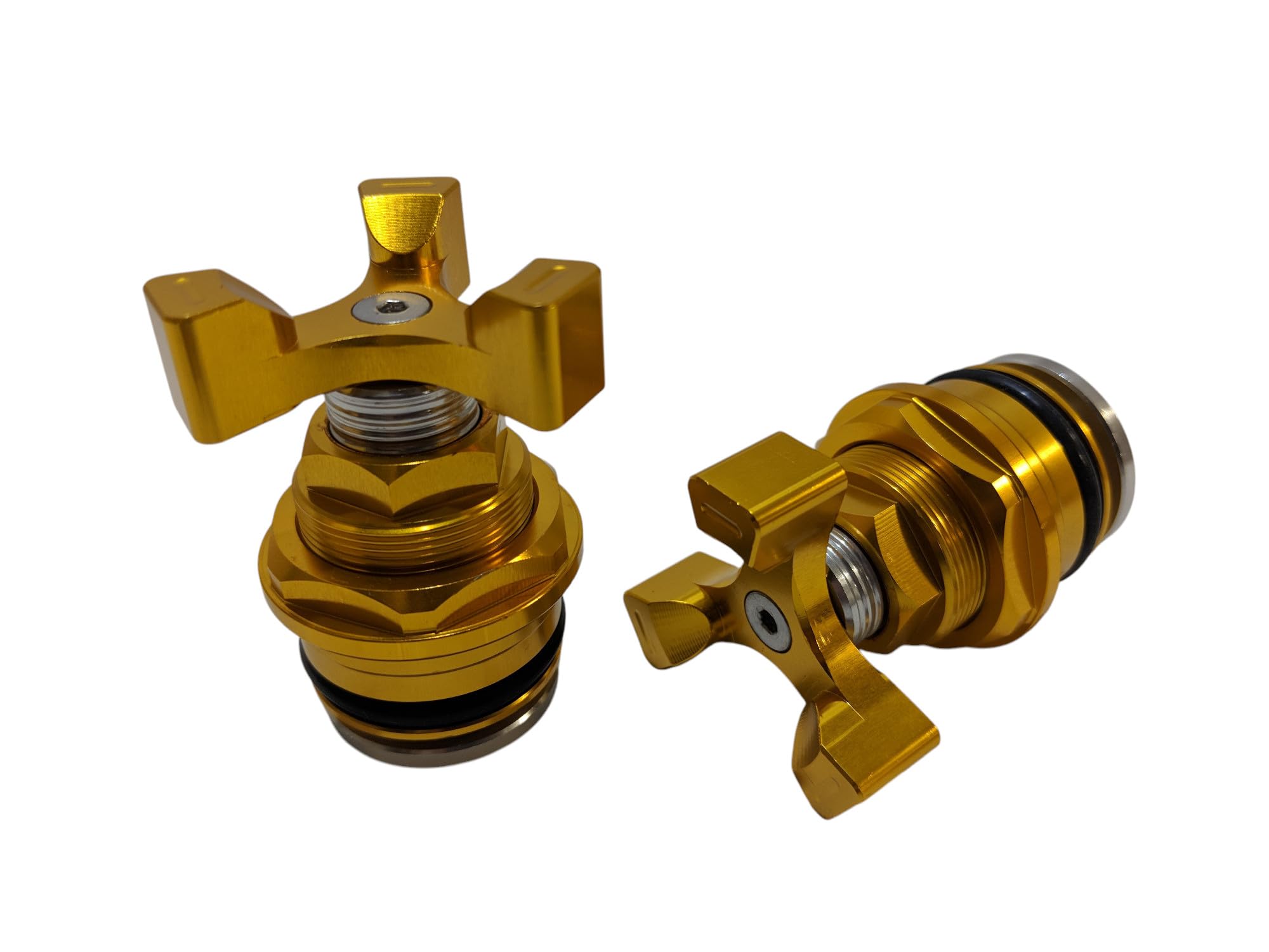 早い者勝ち‼️ラジャス⭐️アピナールソープ&イオンゴールド 2点セット