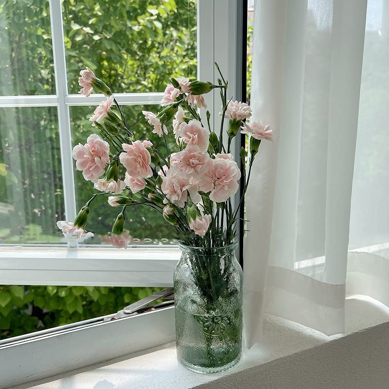 Vase en verre vintage transparent pour salon et table à thé