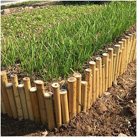 Natural Bamboo Garden Edging Border - Decorative Fence for Lawn, Patio & Indoor Outdoor Use, Protective Garden Partition, Size L100-H15-20cm