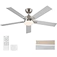 DWVO Ceiling Fans with Lights 65in, Smart Large Black Ceiling Fan with App & Remote Control, 3CCT Lighting,6-Speed Reversible Quiet DC Motor, 8 Blades, for Living Room Bedroom