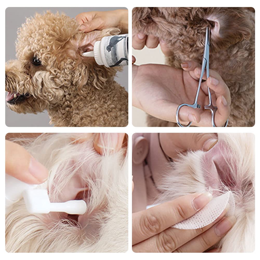 Pince à épiler Hémostatique Pour Animaux - Acier Inoxydable, Toilettage Des Oreilles De Chien, Neuf