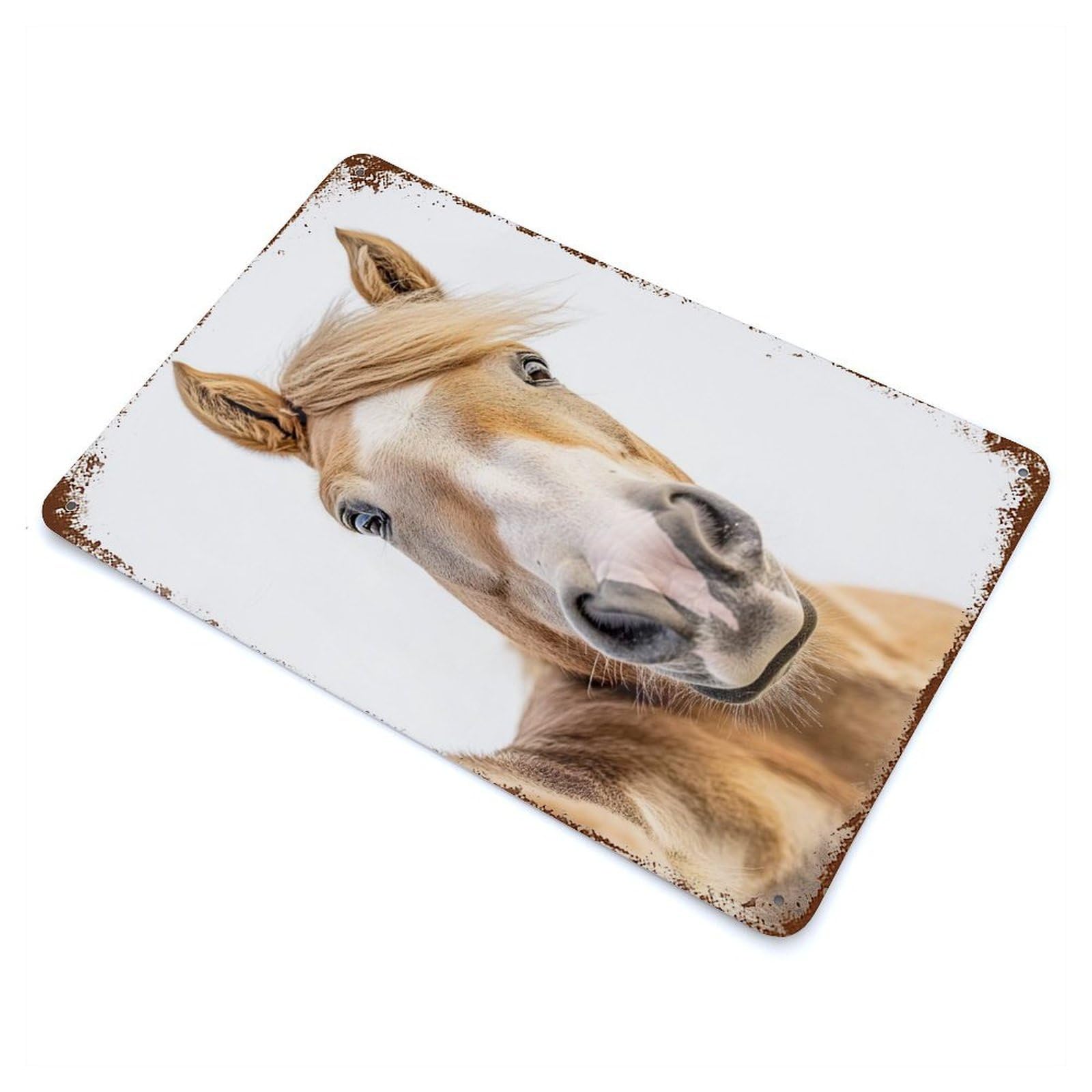Horse Selfie Rusty Metal Tin Sign 11.8"x7.9", for Shed, Workshop And Garage Wall Decor, Shabby Chic Decor