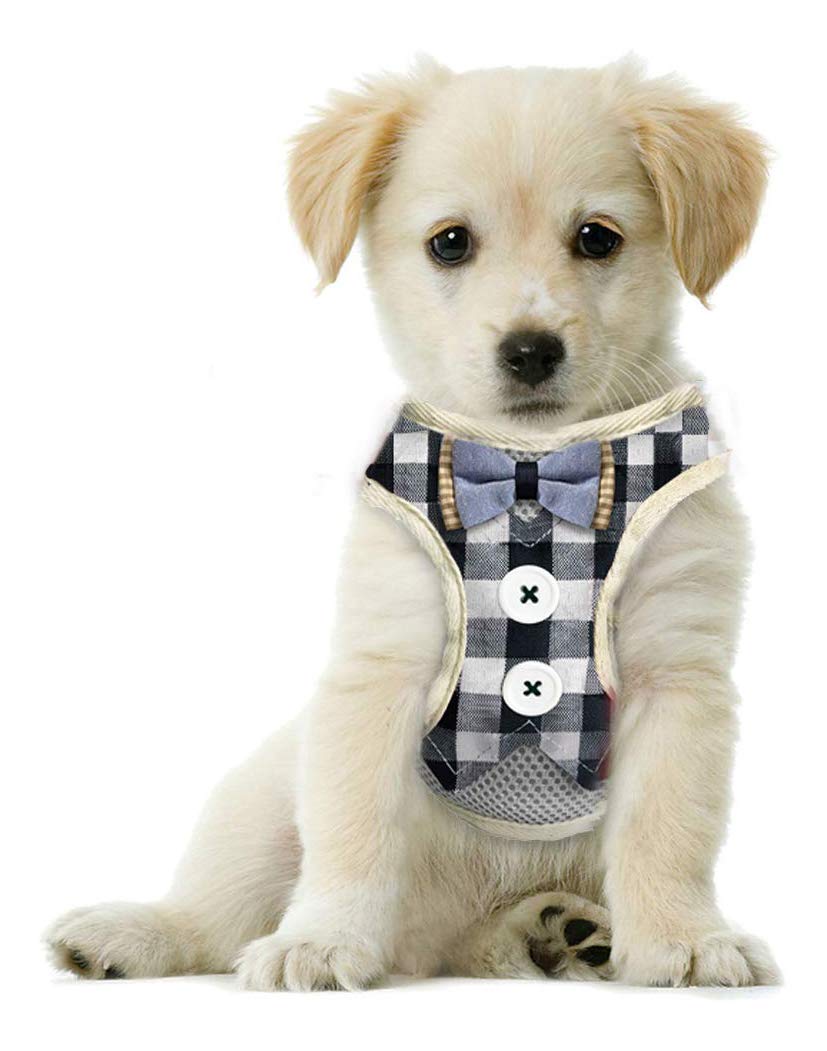 Bark LoverSmall Puppy Harness with Bowtie, Adjustable Dog Vest Mesh Tuxedo Harness for Small Dog Kitten, Perfect for Party Wedding Holiday (S, Blue Plaid)