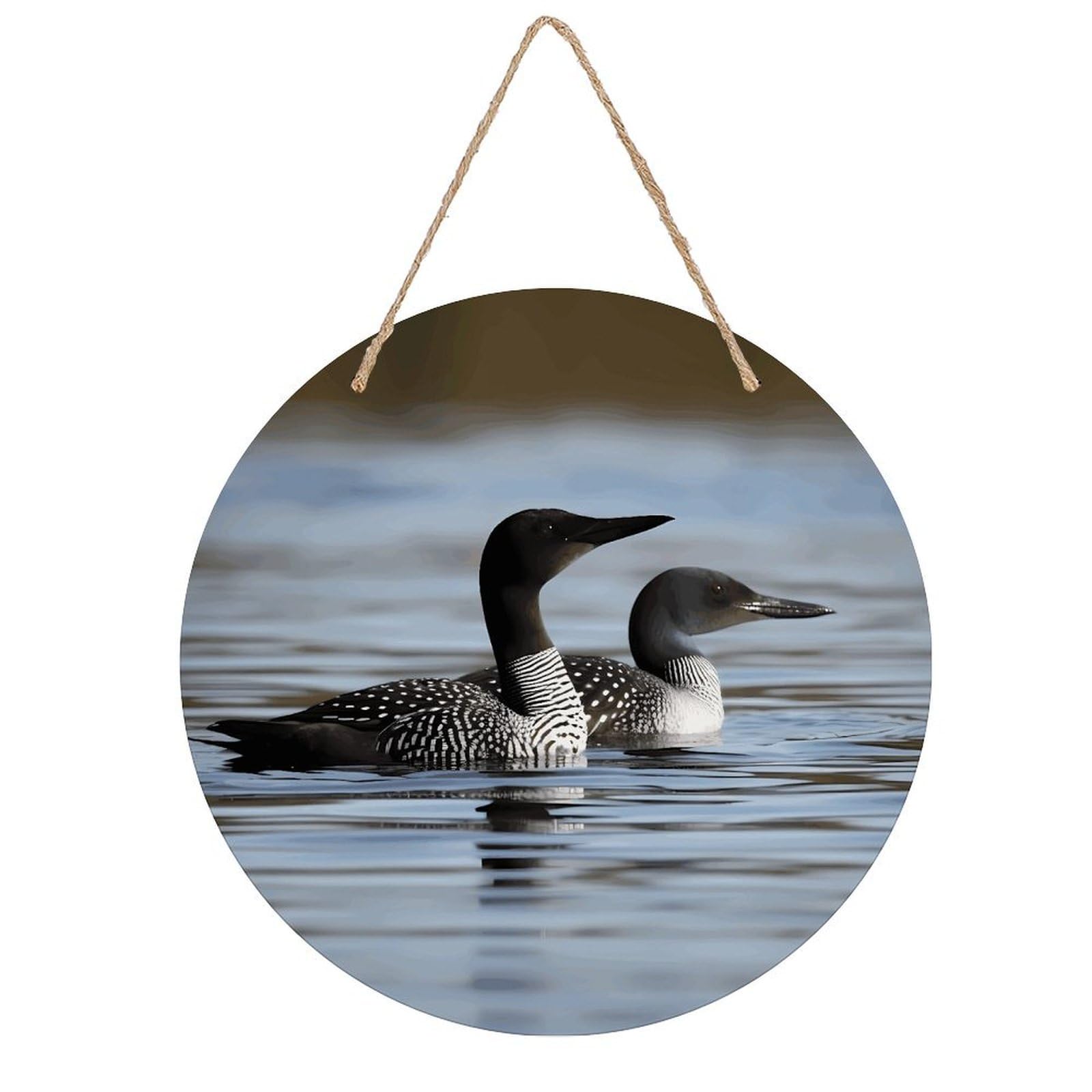 VstaDank Loon Birds Wall Art Decor with Ropes Wooden Hanging Sign Hanging Wall Decor Artwork Round Wood Painting Modern Wall Prints Decor Picture for Office Bar Home Decors