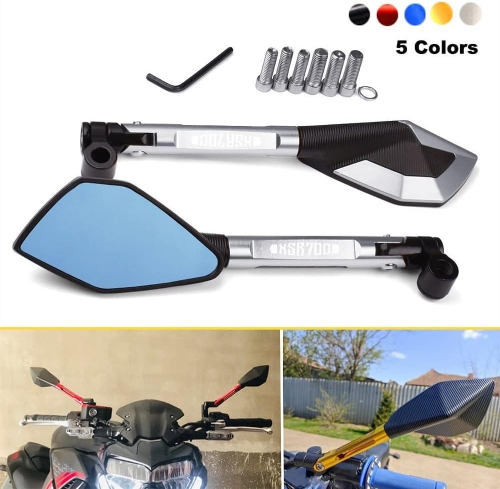 レアビカクシダ5種セット　コナユキ、アンディナムワイルド、RU20、RU309等 レアビカクシダ5種セット コナユキ、アンディナムワイルド、RU20