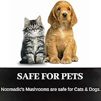 Vista 8 de Cordyceps Hongo, 60 cápsulas, 500 mg cada una, activador AMPK, extracto de agua caliente, cultivado en madera, cuerpos fructíferos, 30%