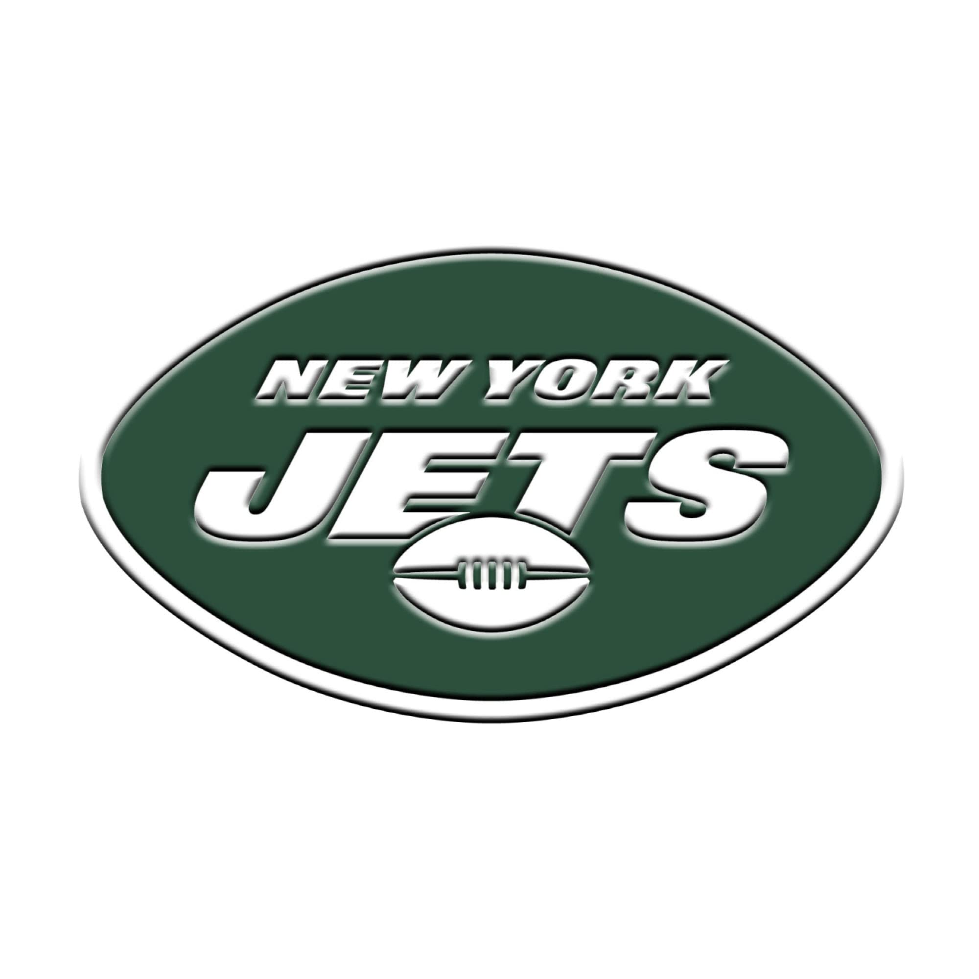 FANMATS NFL 3D Color Metal Emblem, Diecut Team Logo Auto Emblem