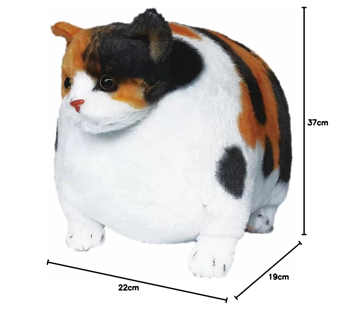 Amazon.co.jp: リード ふとっちぃZoo にゃんこ ぬいぐるみ 三毛猫