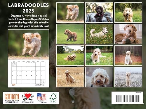 Vista 350 de Calendario Goldendoodle 2026 Golden Doodle mensual de pared calendario de 12 meses Fabricado en Estados Unidos