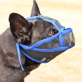 Focinheira Ajustável para Cachorro de Focinho Curto Bulldog, Shih Tzu, Pug, Pequinês e outras raças semelhantes, Máscara Confeccionada em Malha de Nylon Mácia e Resitente (Azul, L)