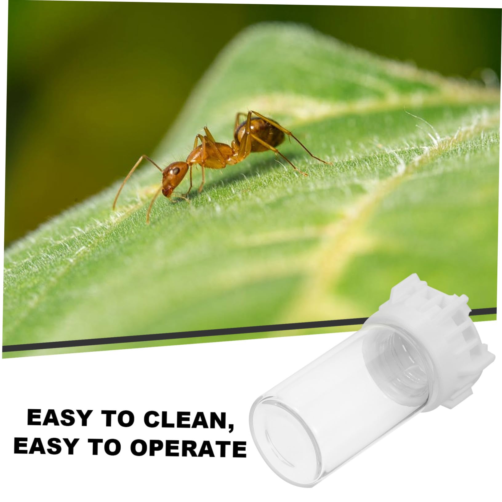 ifundom Bebedero para Hormigas Alimentador 20 Ml de Plástico Acrílico, Taza Pequeña para Riego Estable para Nidos de Hormigas, Uso en Terrarios para Insectos y Cuidado de Hormigueros — view 6