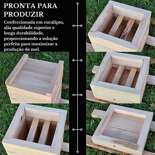 Caixa para Abelhas Sem Ferrão modelo INPA 20x20x3 Mandaçaia Uruçu Tubuna Em Eucalipto