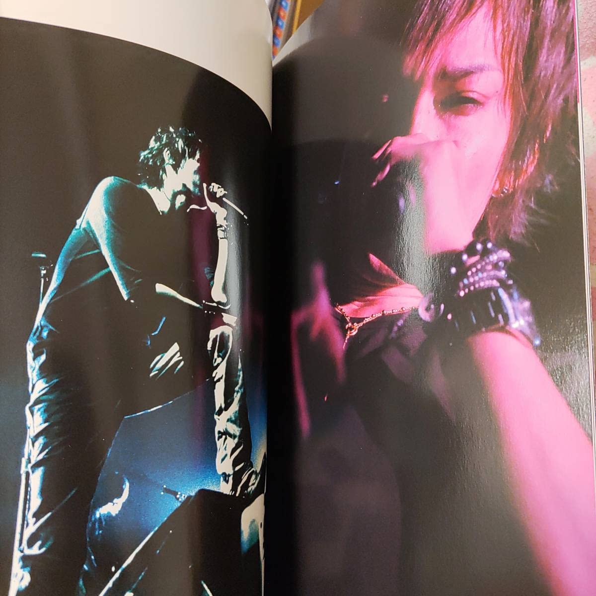 Amazon.co.jp: 激レア入手困難パンフINORAN 40th Anniversary