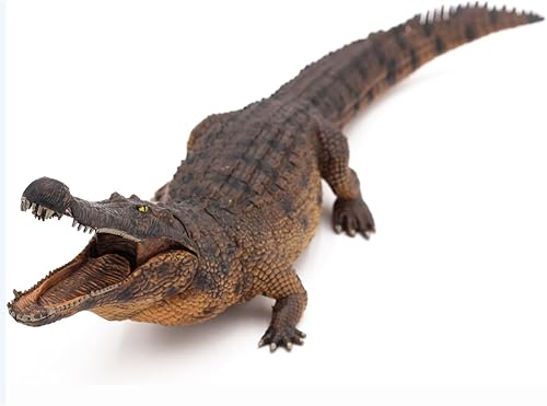 Miniatura 8 de EOIVSH Figura de animal marino, juguete de ballena azul, figura de plástico grande de animales oceánicos, figura realista de modelo marino educativo