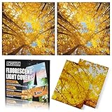 ANGSYLTH 4 Pcs Fluorescent Light Covers - 2 x 2 Feet Covers for Ceiling Lights, Magnetic Light Filters for Classroom, Office, Hospitals, Home (Autumn & Sunset)