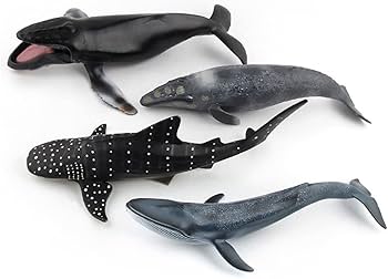 Amazon.co.jp: Igreli 海の動物モデル シャチ ミニチュア おもちゃ