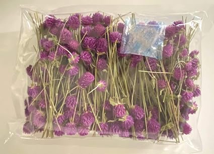 Amazon Co Jp 業務用ドライフラワー ドライフラワー 千日紅 ローズネオン ハーバリウム ウェルカムボード 結婚証明書 作りに最適 100輪以上 ホーム キッチン