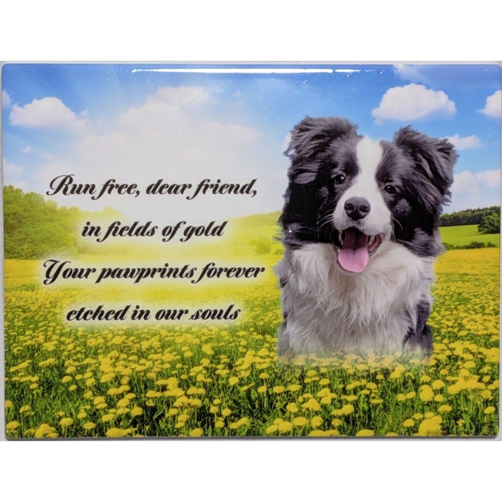 In Memoriam Rectangular Tile Pet Grave Plaque (20 x 15 cm) (Border Collie, 20 x 15 cm)