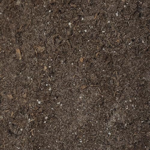 Umtopf - Set für Olivenbäume (Olea) - bestehend aus 10 Liter Spezial - Substrat und darauf abgestimmten Flüssigdünger NPK Volldünger (für Olivenbaum)