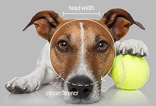 Miniatura 2 de MaruPet Sombrero deportivo para perro, sombrero de lona para mascotas, gorra de tela Oxford con agujeros para las orejas para perros pequeños, Pug,