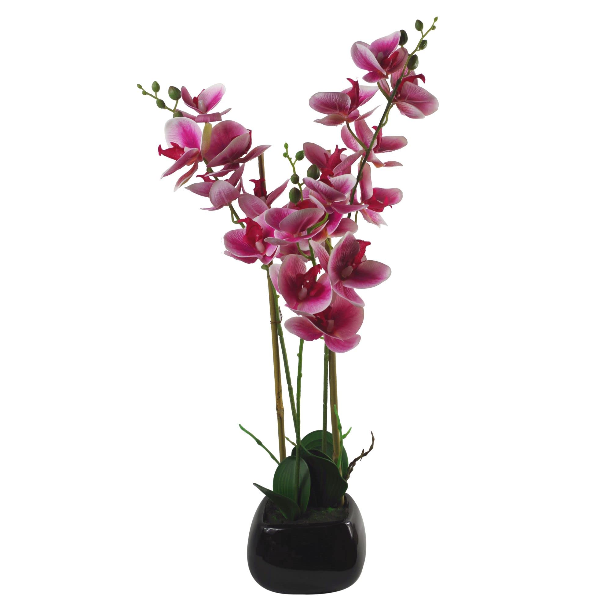 Leaf 70Cm Artificial Orchid Dark Pink With Black Ceramic Planter Dark/Pink/Black