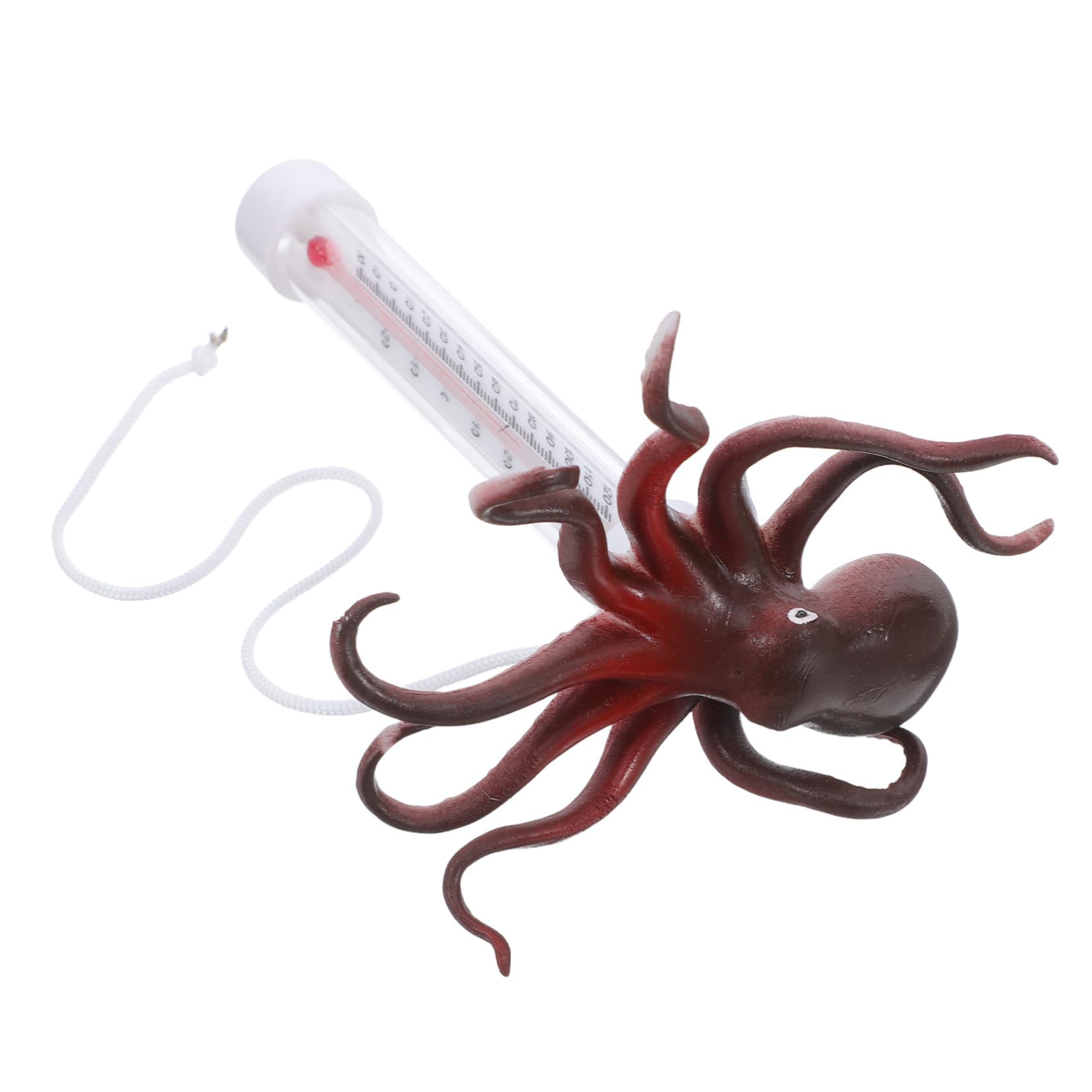 Toyvian Termometro Galleggiante per Forma Misuratore Temperatura per Spa Vasche e Acquari Facile e Utilizzo Design Adatto AI Accuratezza Garantita
