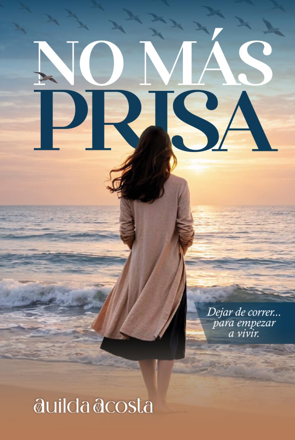 NO MAS PRISA (Spanish Edition)