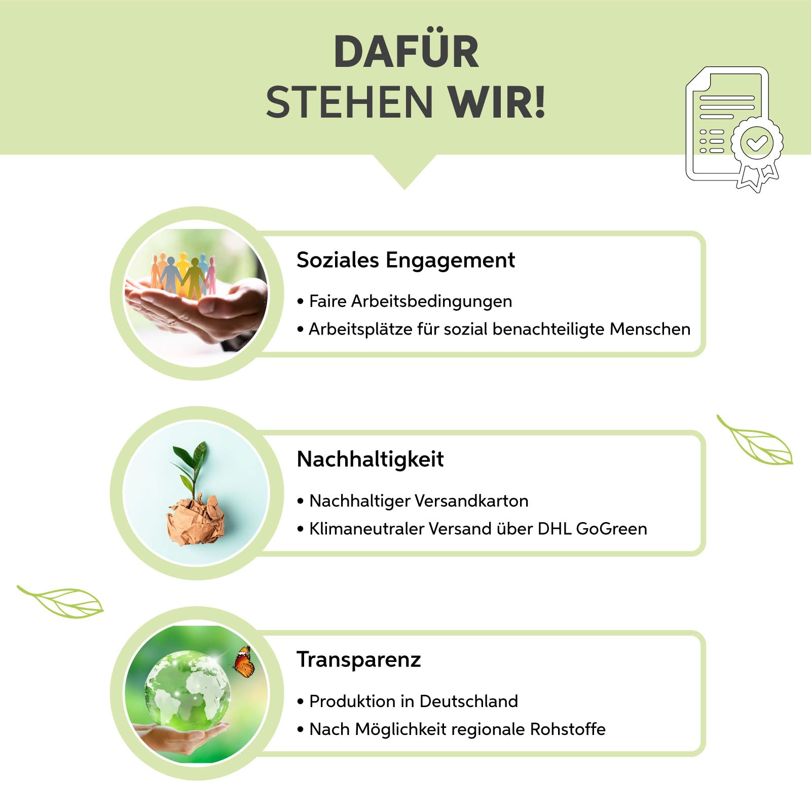 Weizengras Pulver gemahlen 1kg | Weizengras Pulver in Premium Rohkost-Qualität aus EU-Anbau | 100% rein ohne Zusätze