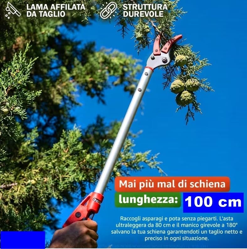 FORBICE DA POTATURA RACCOGLI FRUTTA E ASPARAGI DE LUCA MANICO PROLUNGATO 100 cm