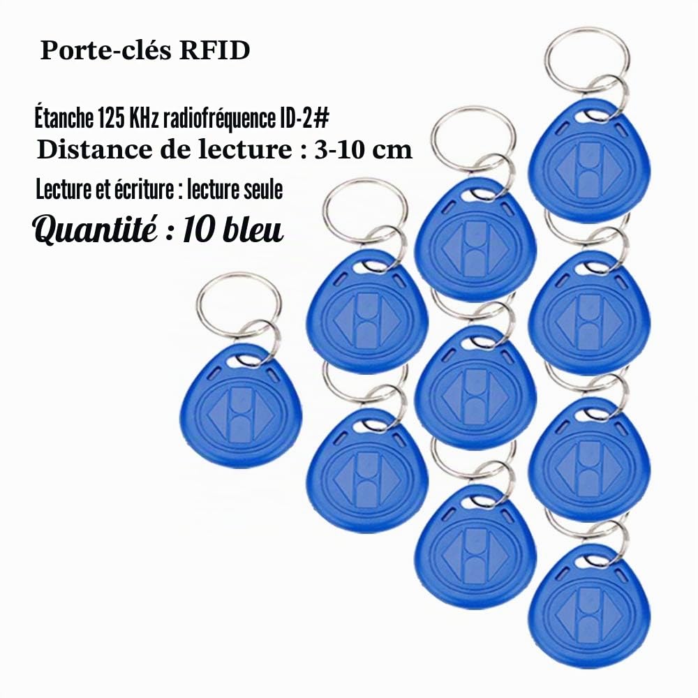 YAVIS Kit Système de Contrôle d'accès, RFID Programmable Clavier de Contrôleur en Métal, Housse étanche, Verrouillage à Boulon électrique, DC 12V 3A Alimentation, Bouton EXIT, Keyfobs ID 10pcs