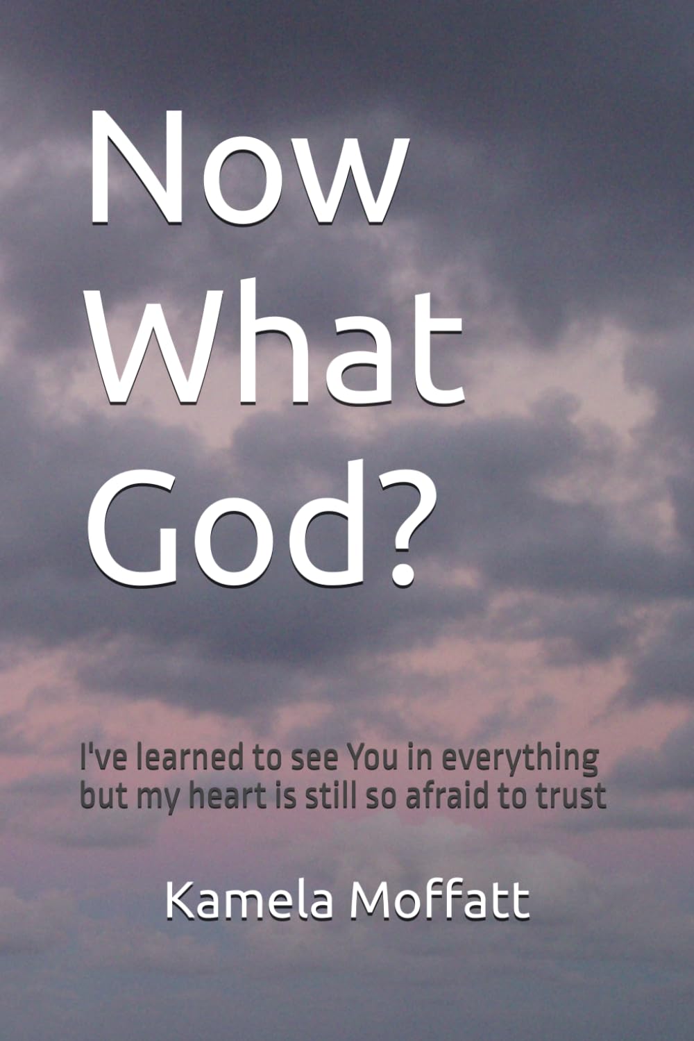 Now What God?: I've learned to see You in everything but my heart is still so afraid to trust!