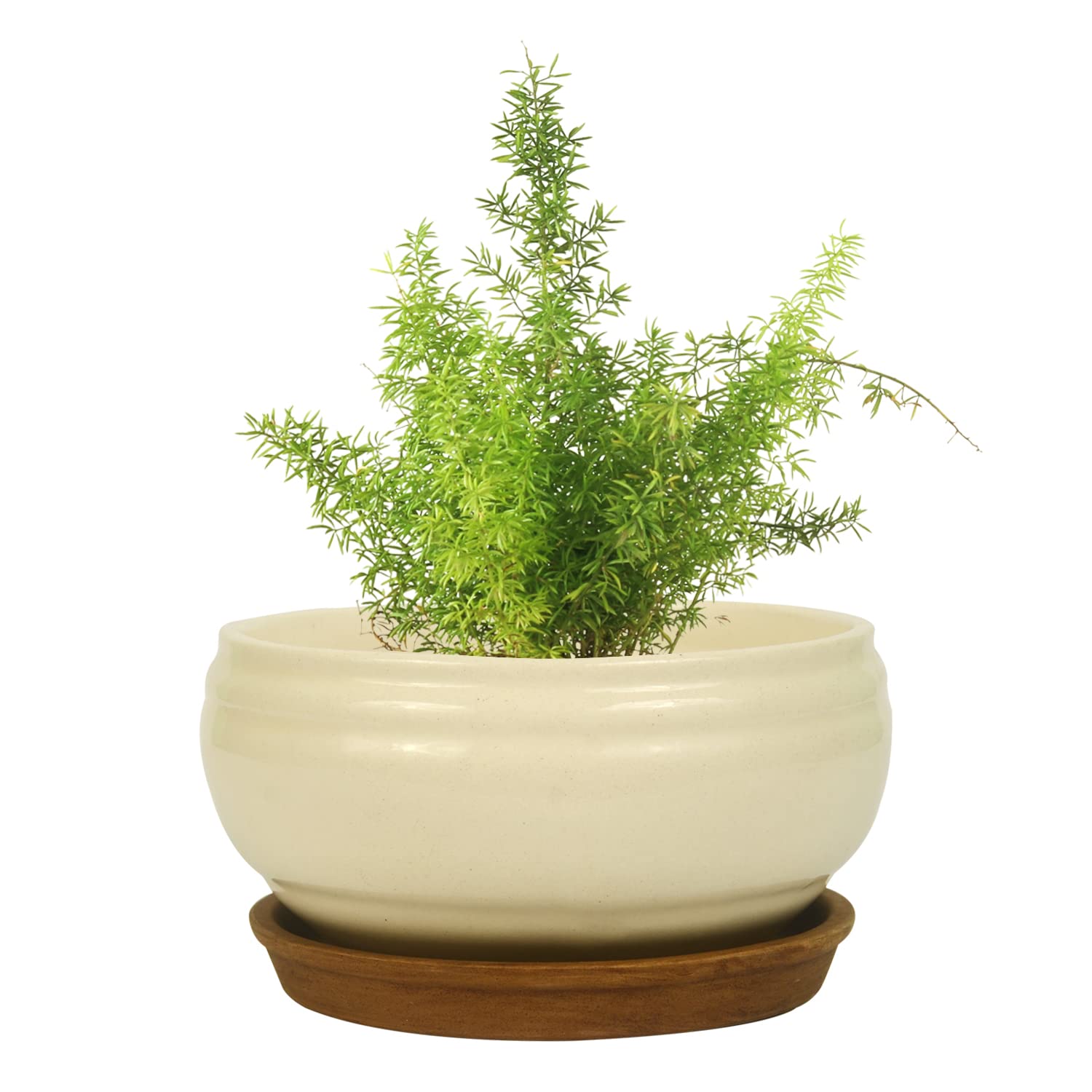 oodlesfly Bowl White Planter with Plate (H-8CM,D-14CM) Ceramic Planter Pots for Indoor Outdoor Balcony Garden (Plant Not Include) (B0D8ZX57PD) Amazon Price History, Amazon Price Tracker