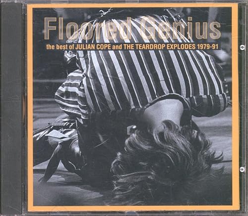 Floored Genius The Best of 1979-1991