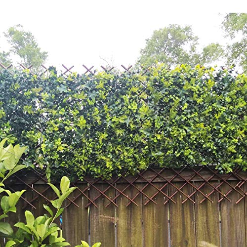 Glant-Lattice-Fence-Willow-Expandable-Plant-Climbing-Lattices-Trellis-FenceOpen-Screen-Willow-FencingWillow-Expandable-Trellis-Fence-1 Glant Lattice Fence Willow Expandable Plant Climbing Lattices Trellis FenceOpen Screen Willow FencingWillow Expandable Trellis Fence 1
