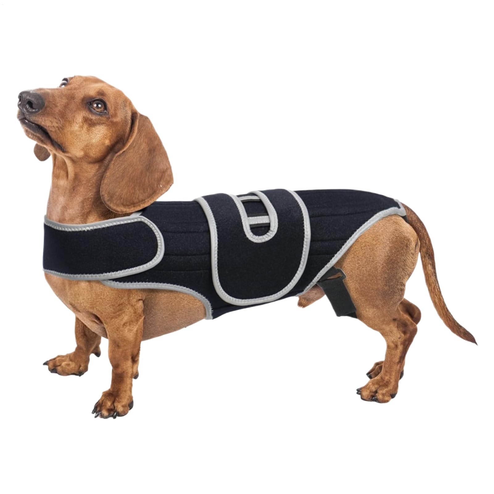 Orteza dla na dyskopatię Regulowana Opaska Stabilizująca Kręgosłup