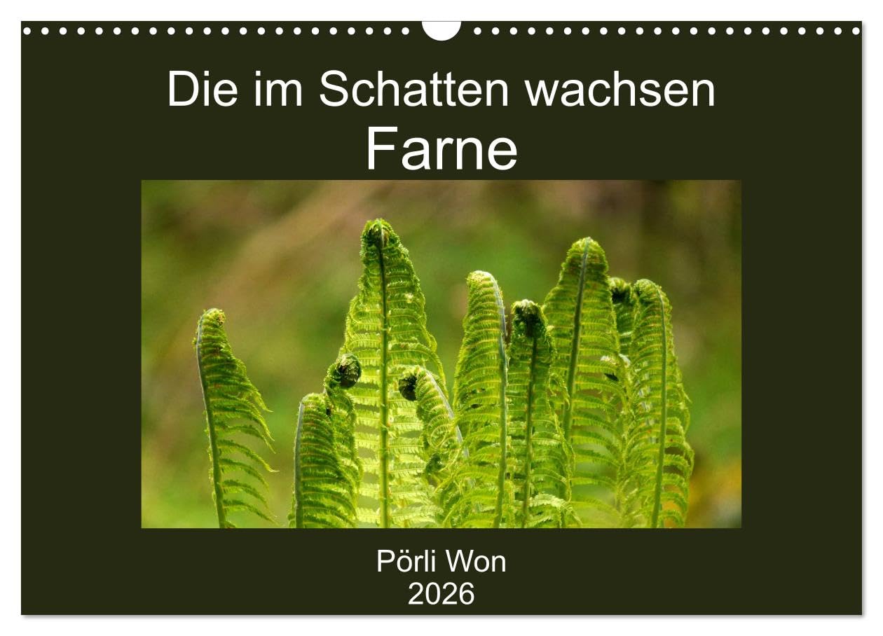 Die im Schatten wachsen - Farne (Wandkalender 2026 DIN A3 quer), CALVENDO Monatskalender: Geheimnisvolle Farnwelt (CALVENDO Natur)