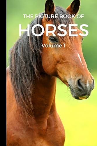The Picture Book of Horses Gift Book for Alzheimer's Patients and Seniors with Dementia (Picture Books): Picture Book Gifts for Dementia Patients - 40 Different Pictures of Horses (Vol 1)