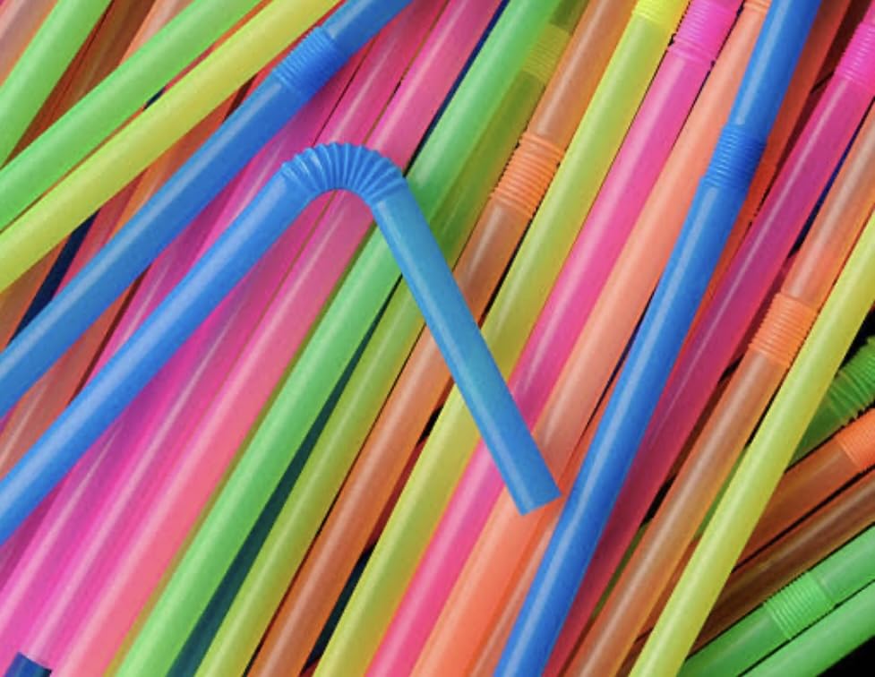 Winsome Decor Multicolor Rainbow Plastic Straw (Pack of 100 Pcs) Plastic Drinking Straws for Juices, Filtered Juice Party Supplies Decorations(Pack of 100) (B0D49CCPHQ) Amazon Price History, Amazon Price Tracker