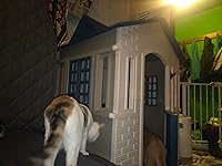 Review Image by Freedom35 Freedom35